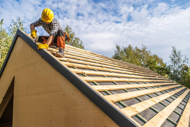 Best Storm Damage Roof Repair  in Pioche, NV